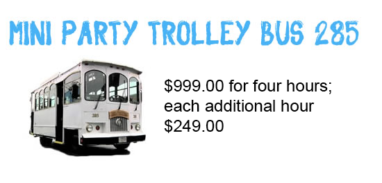 mini_party_trolley_bus_285
