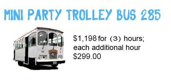 mini_party_trolley_bus_285_update_06_25